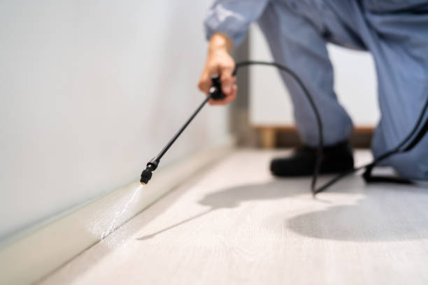 Bed Bug Pre-Treatment Preparation Assessment in Roselle