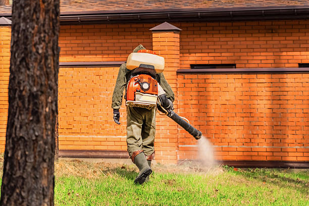 Bed Bug Clearance Verification and Documentation in Roselle